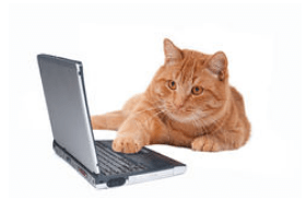 новий функціонал у Кабінеті Клієнта