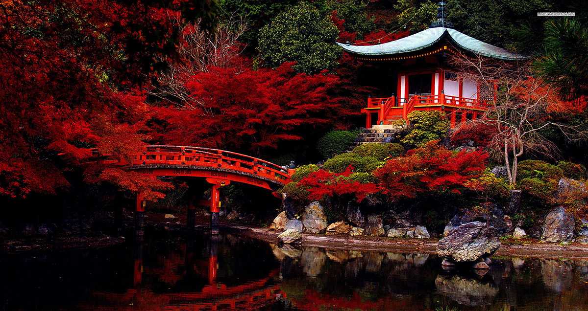 Как живут японцы на пенсии?