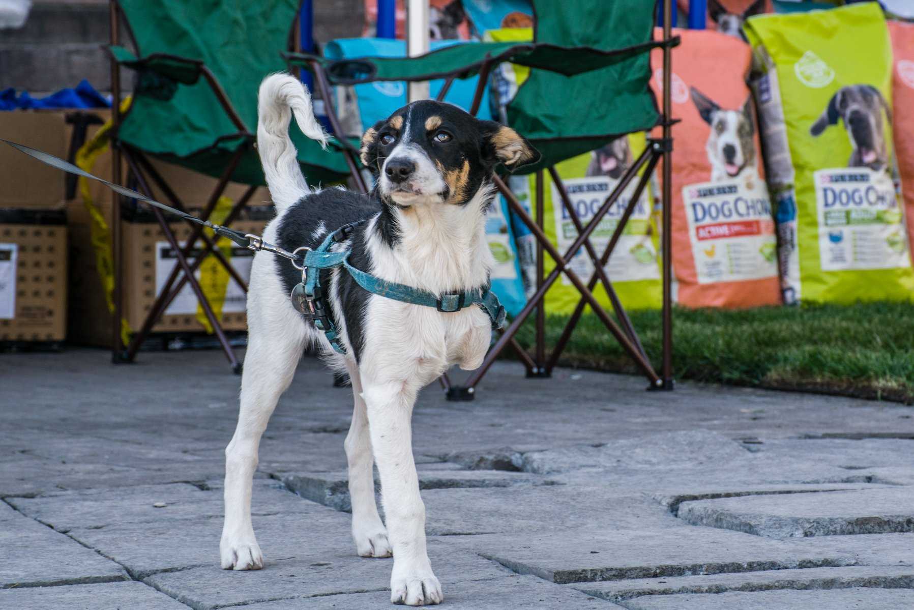 Шалений вікенд із TAS life