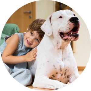 професії майбутнього