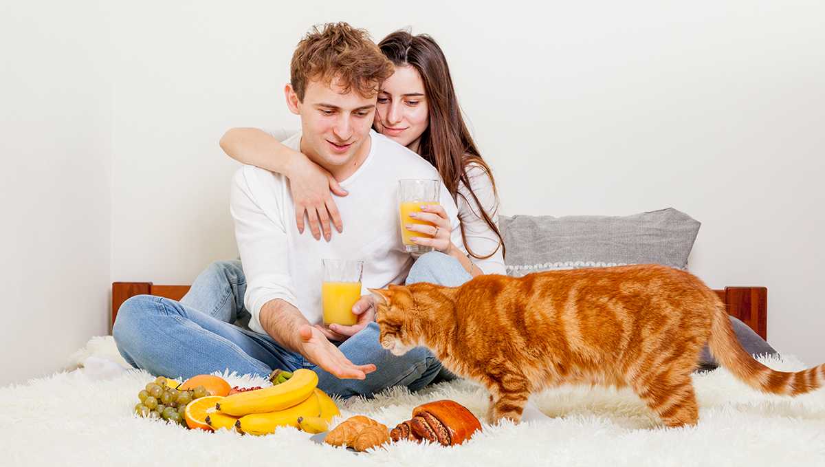Сніданок з TAS life