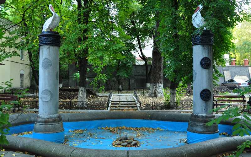 Сквер з пеліканами