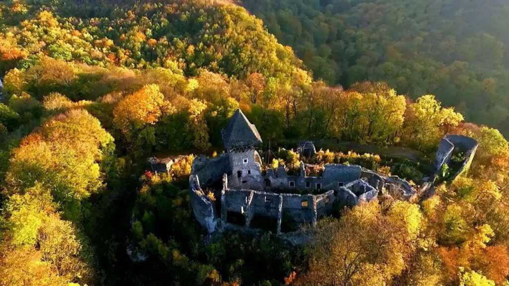 Невицький замок