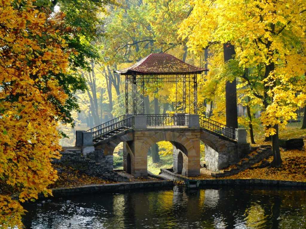 Олександрія