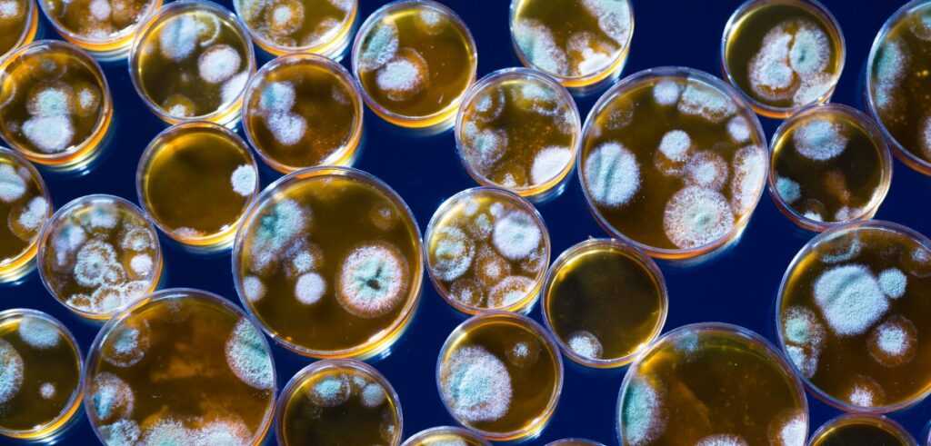 Антибіотики