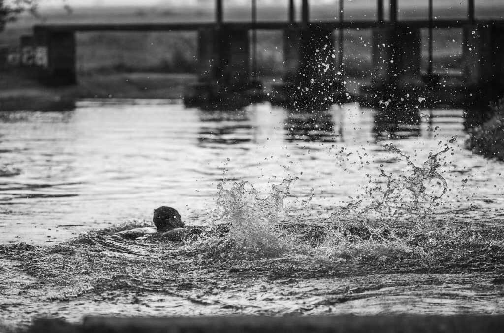 Втрата життя через нещасний випадок