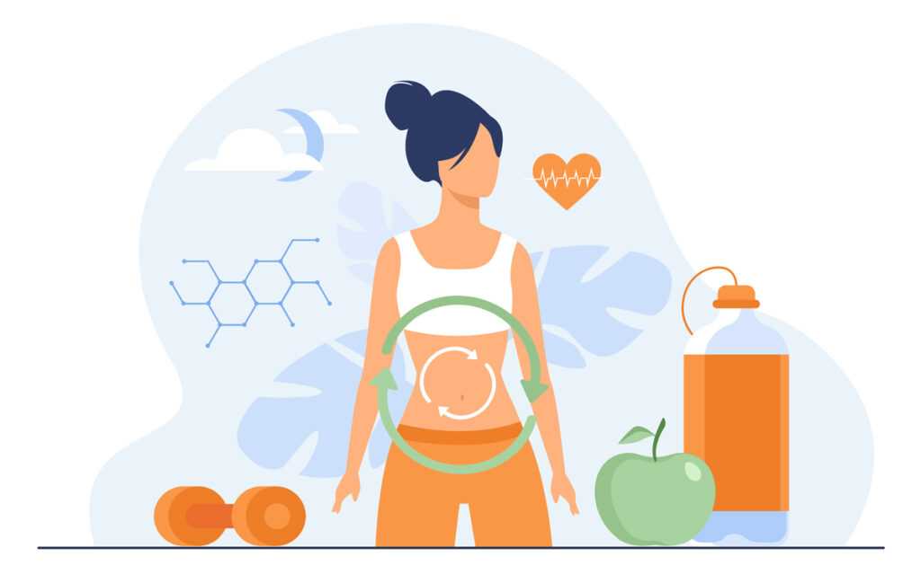 метаболізм