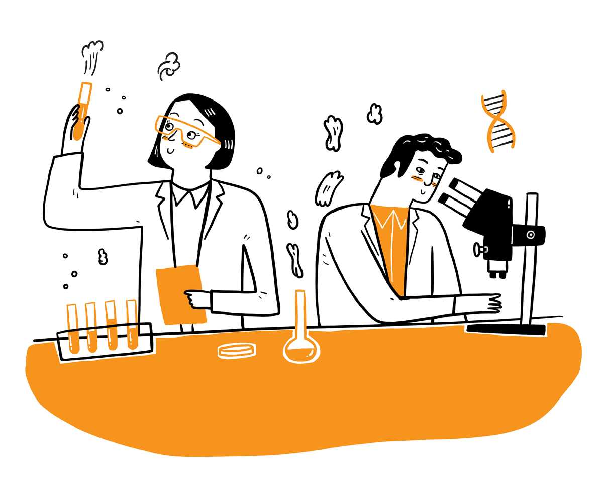 Як має проводитись дослідження?